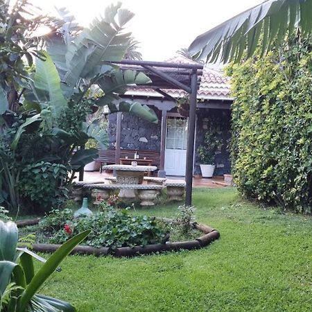 La Sabana Guest House Buenavista de Abajo Ngoại thất bức ảnh