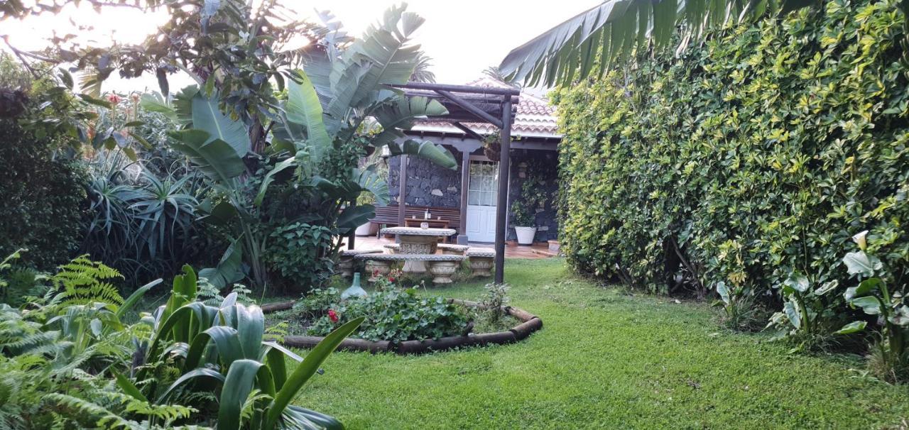La Sabana Guest House Buenavista de Abajo Ngoại thất bức ảnh