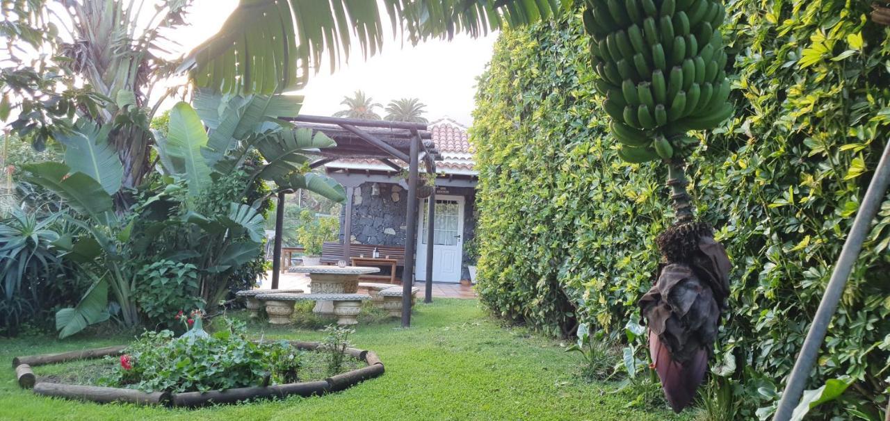 La Sabana Guest House Buenavista de Abajo Ngoại thất bức ảnh