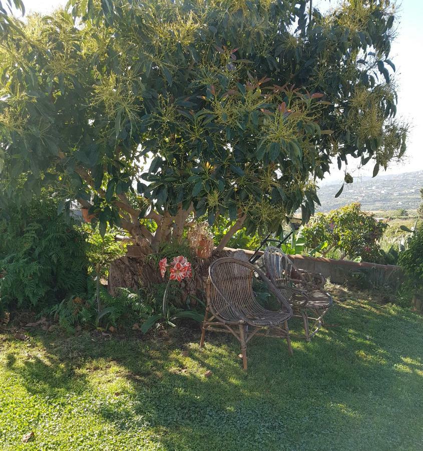 La Sabana Guest House Buenavista de Abajo Ngoại thất bức ảnh