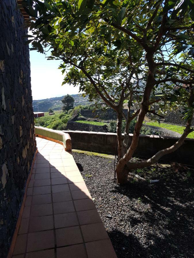 La Sabana Guest House Buenavista de Abajo Ngoại thất bức ảnh